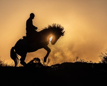 Silhouette of a man riding a rearing horse against a golden sunset sky with dust.