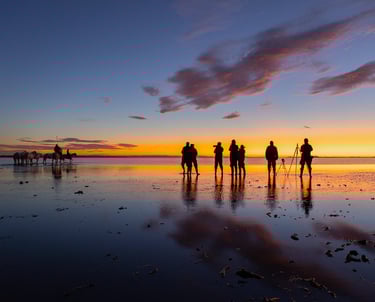 a group of people photographing horses on a beach