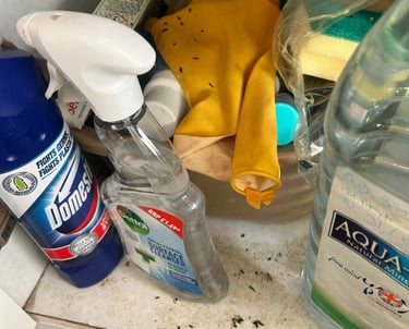 Mouse droppings in cupboard