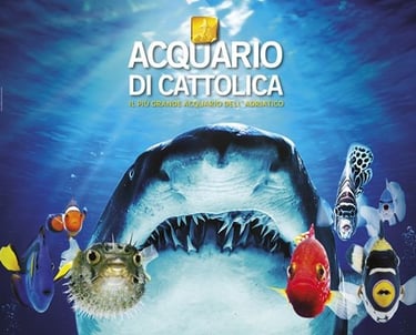 Acquario di Cattolica, Parco Navi provincia di Rimini