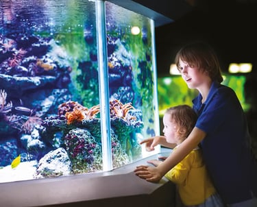 Acquario Oltremare Riccione, Parco provincia di Rimini