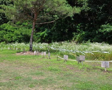 Golyonggol in Daejeon