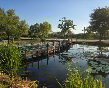 Garden view with pavilion and pond in the background