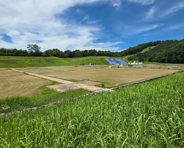 Site view