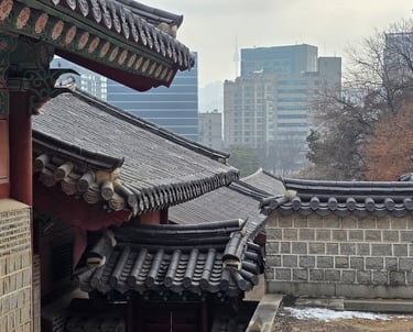 Palace and city view