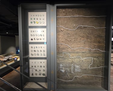 Stratigraphy display