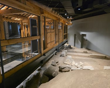 Building reconstruction