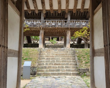 View from Bongnyemun Gate