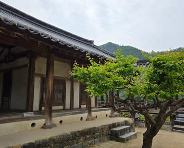 Dormitory garden view