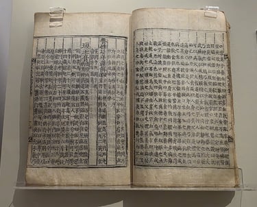 Donguibogam: Principles and Practice of Eastern Medicine 