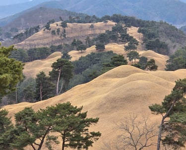 Jisandong tumuli long view