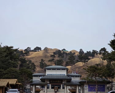 Tumuli and Daegaya Museum view