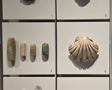 Various worked Neolithic ornaments