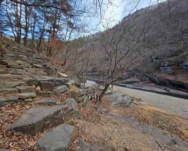 Wider view of petroglyph area
