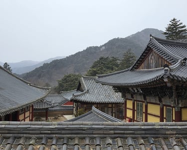 Rooftop mountain view