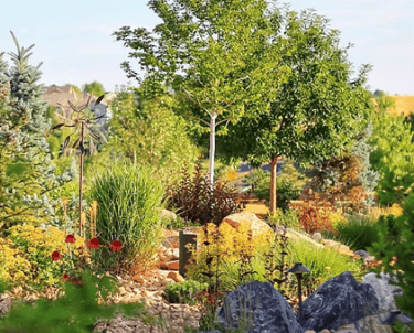 Story Wyoming Landscaping