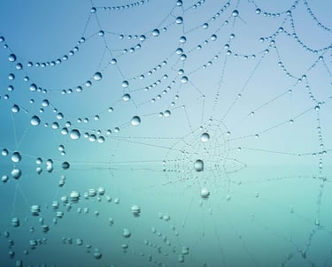 Systemische patronen in onderwijs - verbinding en teamdynamiek.