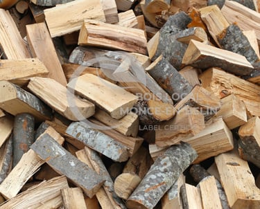 buches en tas en vrac