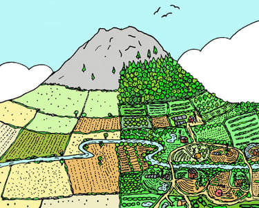 Regenerative farming on mountain design through organic and permaculture
