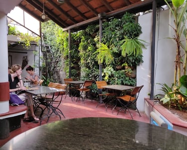 Kashi Art Cafe: The Pioneer of Fort Kochi's Cafe Culture