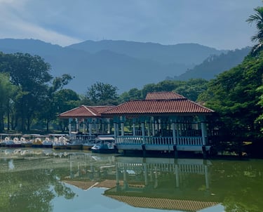 Dayung Lake Taiping Lake Garden