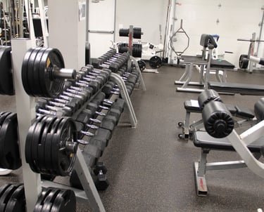 dumbbell rack