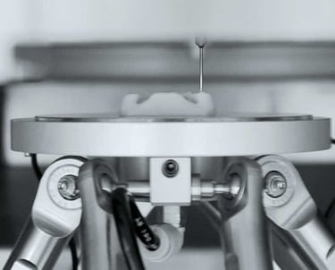 Bioprinted nose within a 3D printer