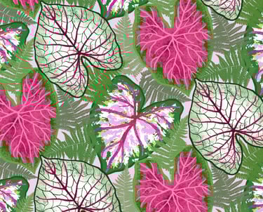 Cordinate pattern pink caladium leaves and fern