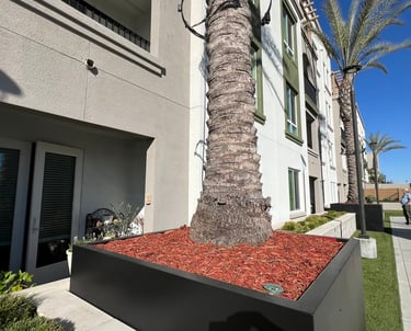 luxury apartment mulch