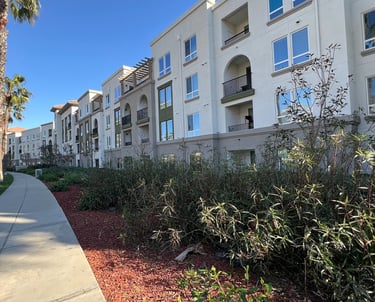 luxury apartment mulch