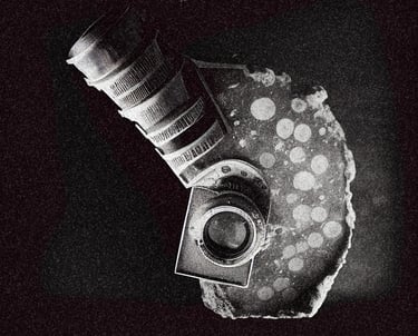 Agne Gintalaite, collecting things, 2023, Fuerteventura