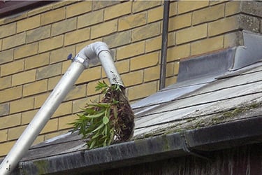 Gutter vacuum removing debris at C Thru window cleaning, Exeter.