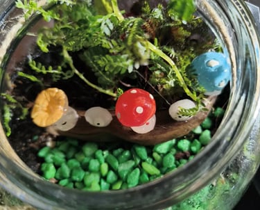 Get Growing Terrariums Workshop build with mushrooms, ferns and moss. Garden Gifts & Glass, Cairns