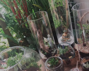 Living Art Therapy® nature-based wellness workshop, Terrarium Build, Garden, Gifts & Glass, Cairns 
