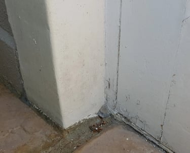 Rising Damp