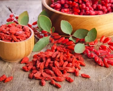 Ovarista berberine