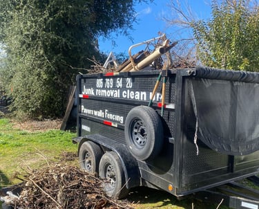 Yard Cleanout