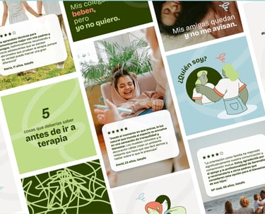 Imágenes y gráficos diseñados para las plataformas de redes sociales de Serenalia, manteniendo la coherencia de la marca.