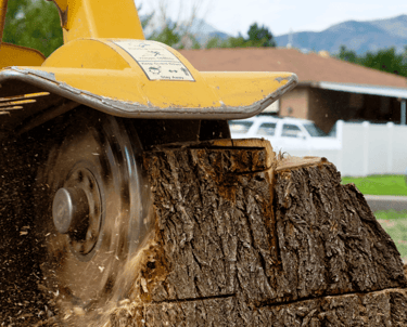 Stump Grinding