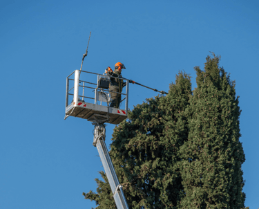 Tree Pruning