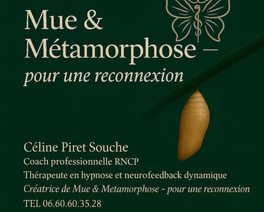 Mue & métamorphose image