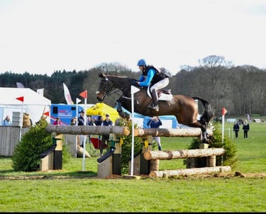 Eventing supplements for horses
