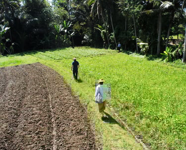 Bali agriculture research support