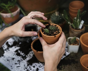pot de jardinage marron