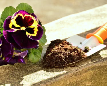 pelle de jardinage