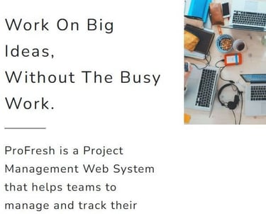 ProFresh welcome page snapshot 