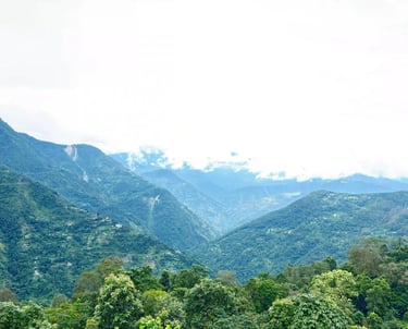 Pine Valley View Homestay - Chakung Homestay