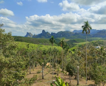Le district de Sawi