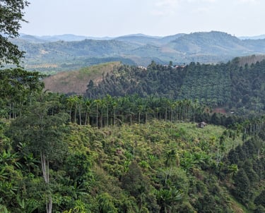 Le district de Thasae