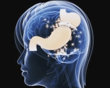 minceur regime poids estomac gastrique